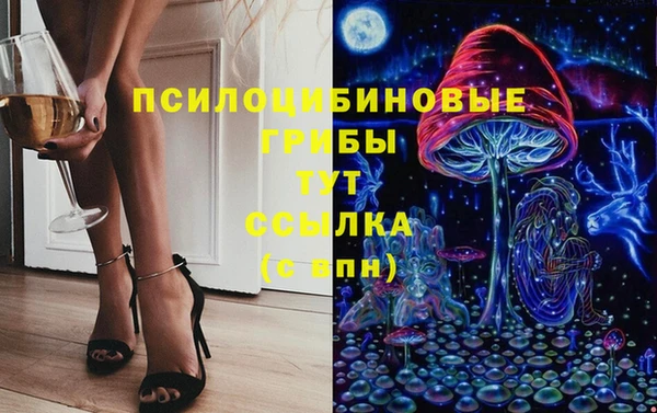 Альфа ПВП Абаза