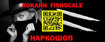 jwh Кингисепп