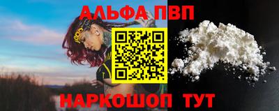jwh Кингисепп