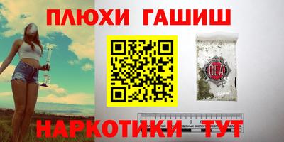 jwh Кингисепп