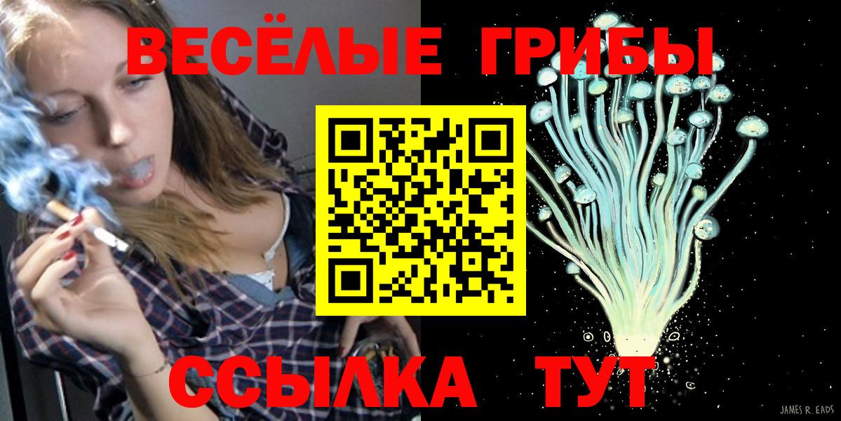 Псилоцибиновые грибы Psilocybe  Вход с VPN  Псилоцибиновые грибы MAGIC MUSHROOMS  Юрга 